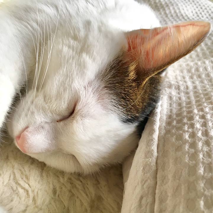 Cef9ae42 1fc3 4550 b55f 4d9ead99d2d1 1550885401042