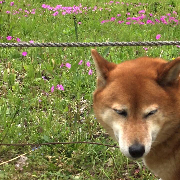 Cef9bc47 1153 48f1 a565 1029569215d3 1555061572048