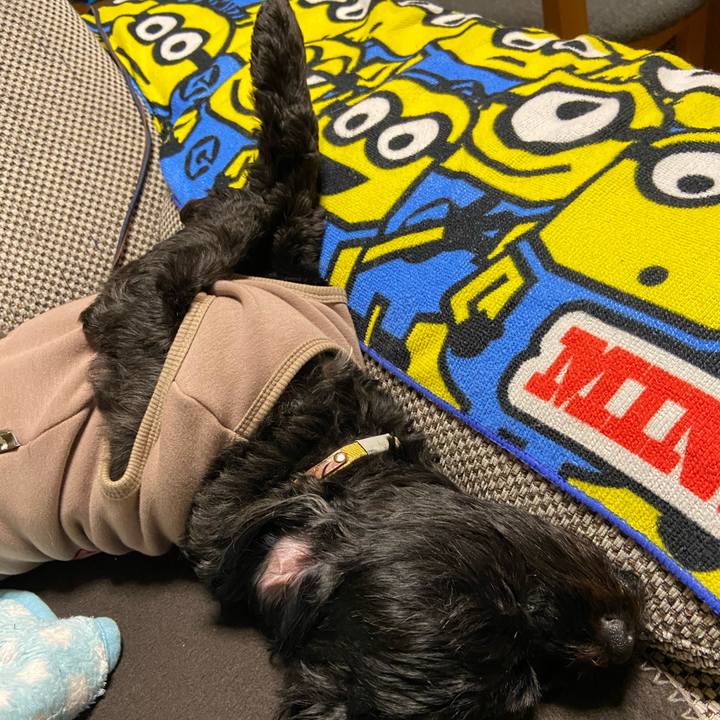 Cef9e950 0df9 4e4d 875c fbe0a88301f5 1574001082351