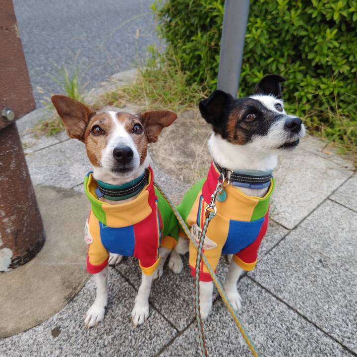 Cef9f622 1a6d 48e4 b307 d0c6fddc3899 1729547829206