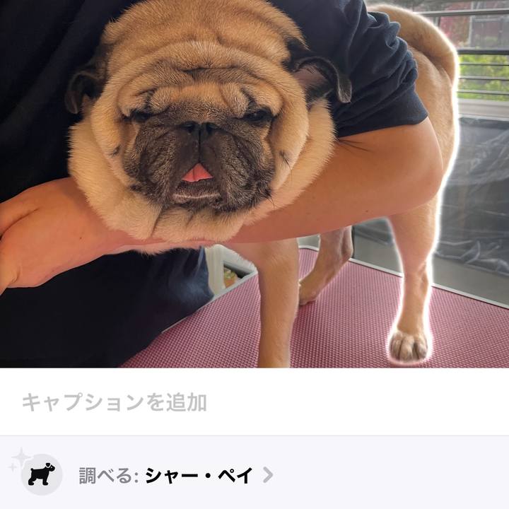 Cef9fb36 be68 4a28 b7d6 eadafdc98fe2 1731770542425