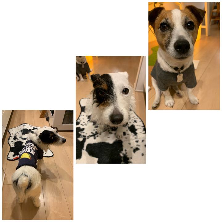 Cefa06fc da65 412c 96b8 764afbf360de 1586345109402