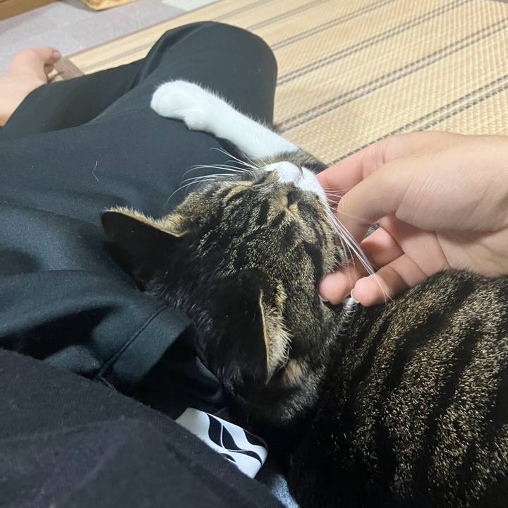 Cefa0dc9 e60a 4e0c a8f3 dd94af0312fd 1761694740935