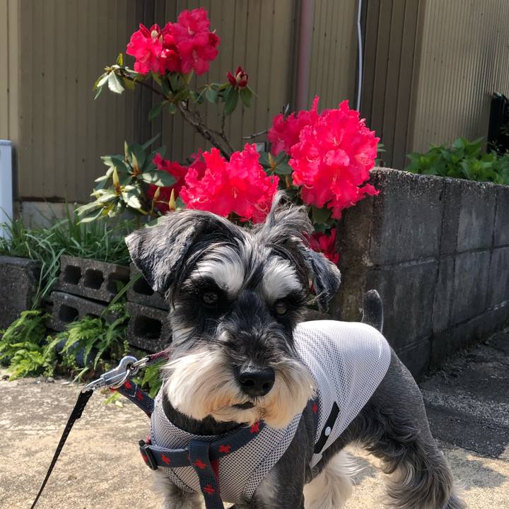 Cefa60df ddd6 4209 bffb 003d785096f1 1651593760165