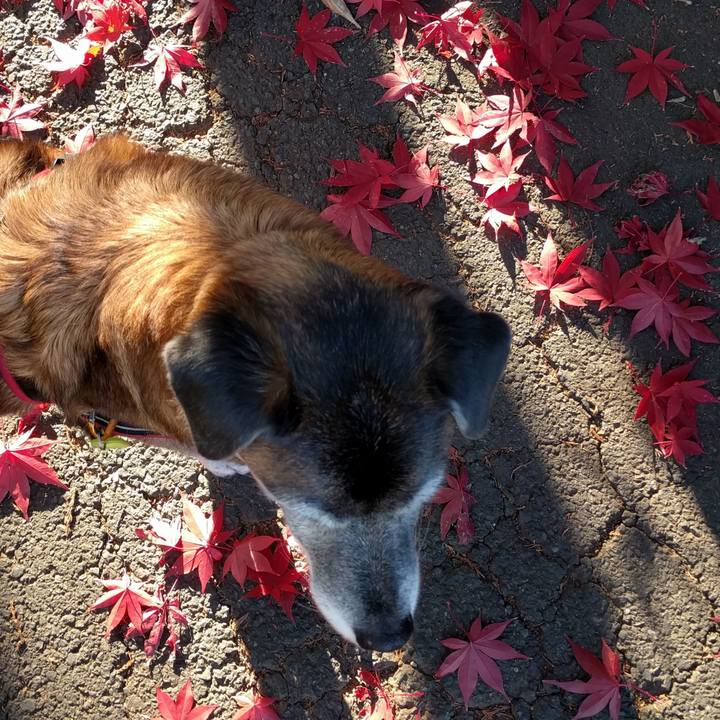 Cefa8be9 fda5 445e 9278 f9557839d4dd 1546045480245