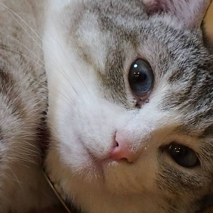 Cefa9ffa 1f06 4d70 86f7 afa34f5e73bc 1562375930323