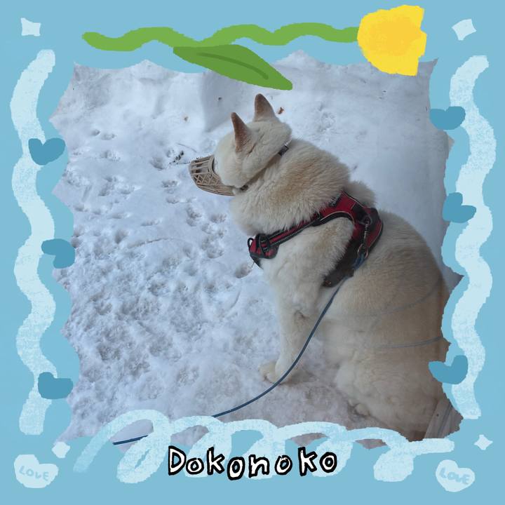 Cefaad16 93d0 4fca 955d 6cd4ae51bc9f 1771968898984