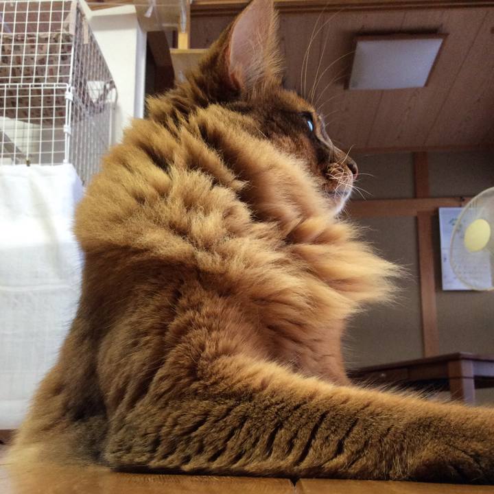 Cefac761 25d5 4586 a1ac 593d07661820 1595893412141