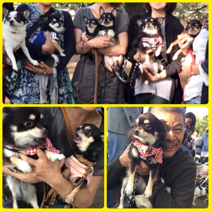 Cefacb3d 6c29 453c b562 81bc2b5b3d79 1634692135567