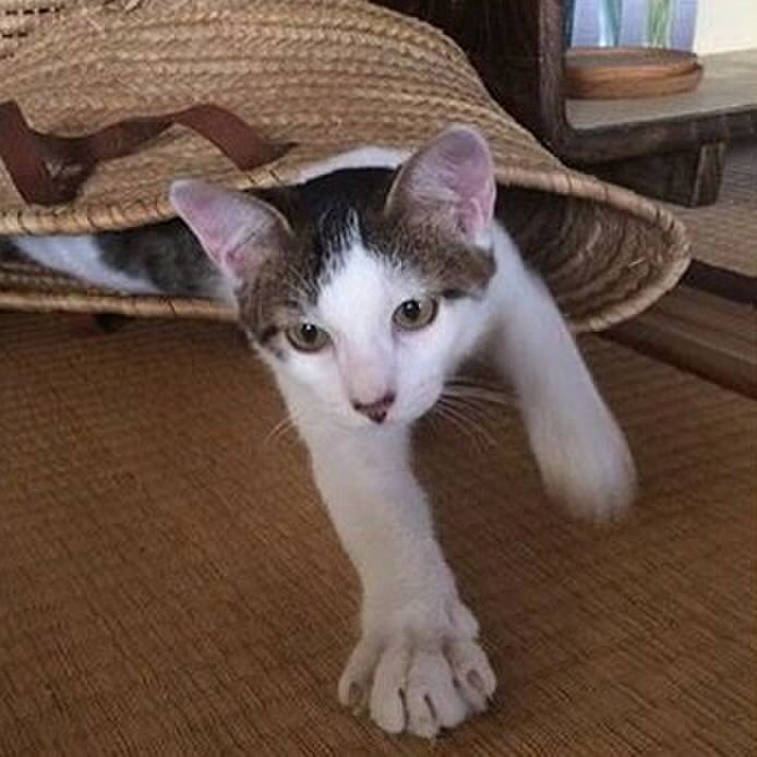 Cefb0a81 c5b5 4a13 908d 63ca34ea436c 1534392398586