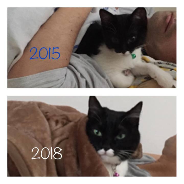 Cefb1873 416e 4840 a096 582d13ee5765 1548418519412