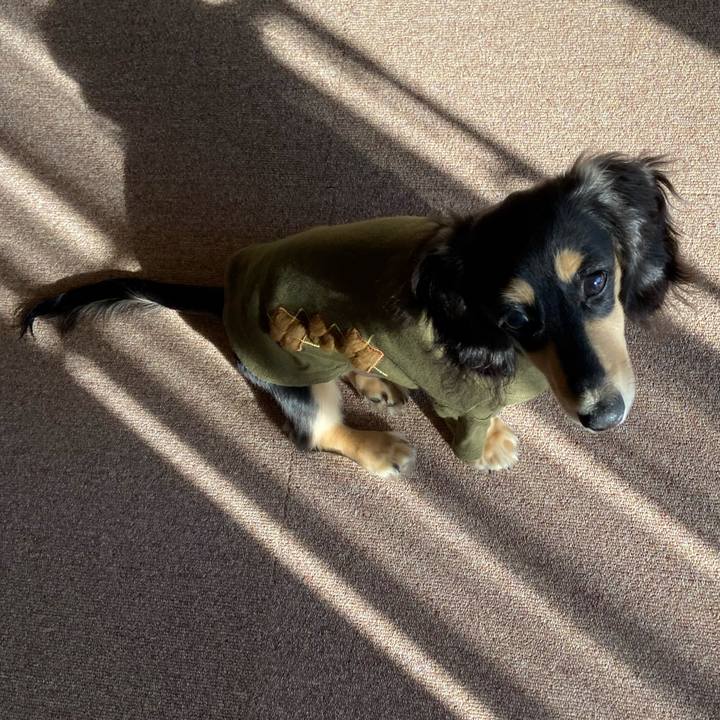 Cefb8238 b135 4a61 b54a 8aa1ddbdc305 1672375560891