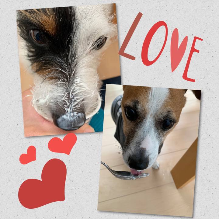 Cefb9143 ff3f 4be5 9346 e5a4d4fdac6c 1553814784194