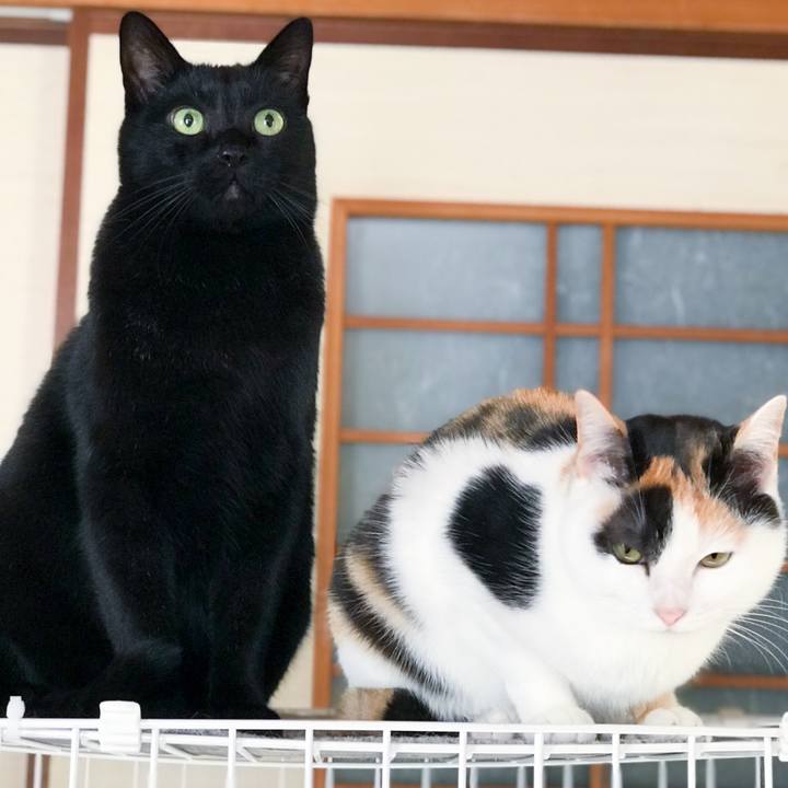 Cefbf18c ea89 479e bd89 f5e7e563e951 1515730490773