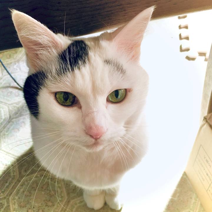 Cefc10c0 dcc8 490d 97b3 a5e17029171a 1610439964540