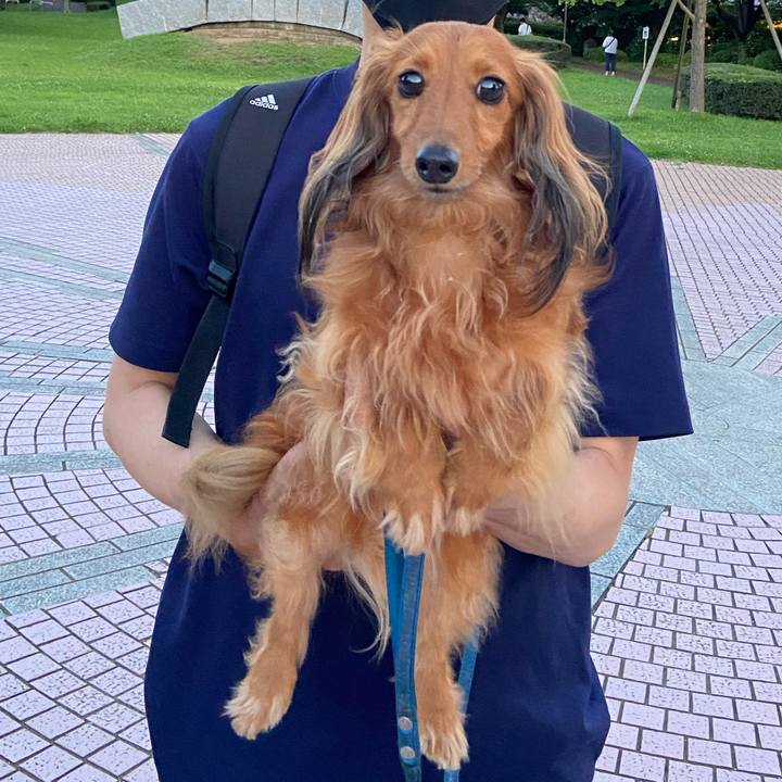 Cefc10f6 43f2 4b49 b4fb fd34be4cc0af 1656238384716