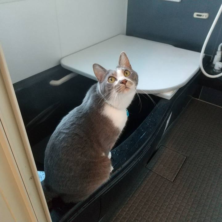 Cefc1e94 7542 4485 8fb2 974eab74f576 1640649960768