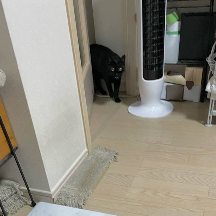 Cefc265e e7d9 41cd 8deb dc5fb4995469 1695294716753