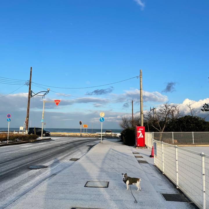 Cefc2b21 a1e1 486b 8078 86ceae42ca28 1612481317518