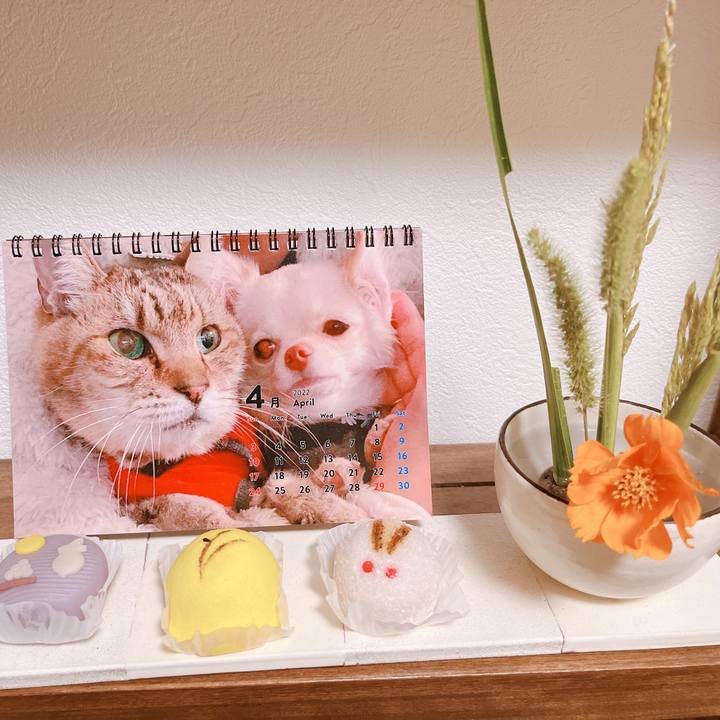 Cefc33ff 1c9d 4fd1 887f 14fc76d85bd4 1662812059753