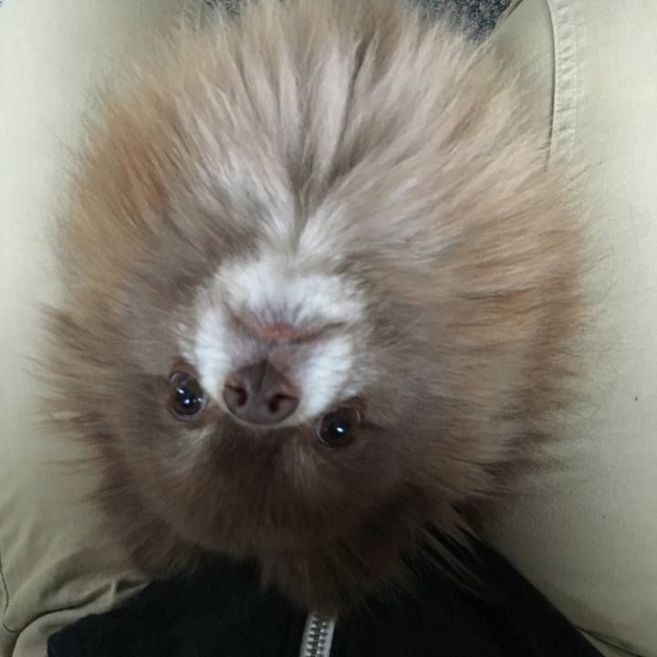 Cefc63d8 6d25 495d 8018 20c0e32ec9c4 1520976170493