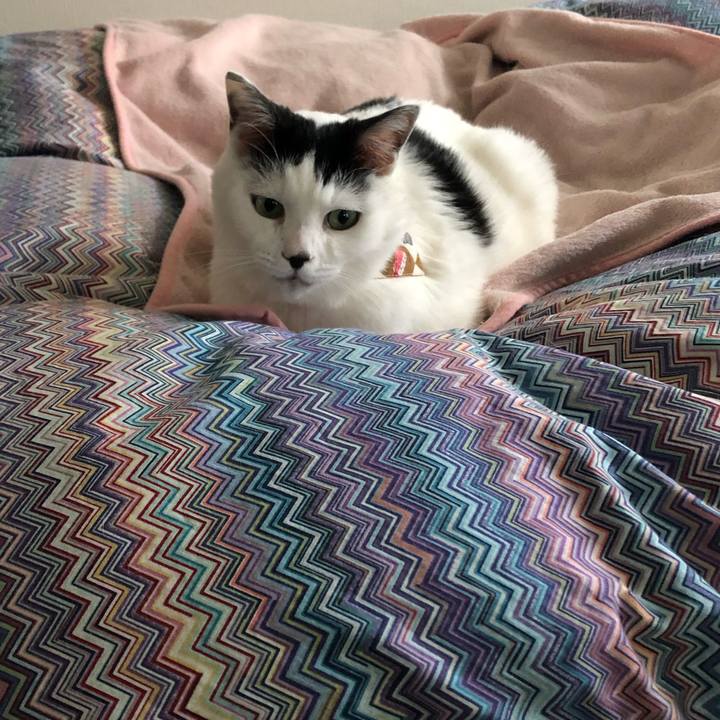 Cefc857f c9e9 43c1 98f4 ff181ca0a9e6 1543447260562