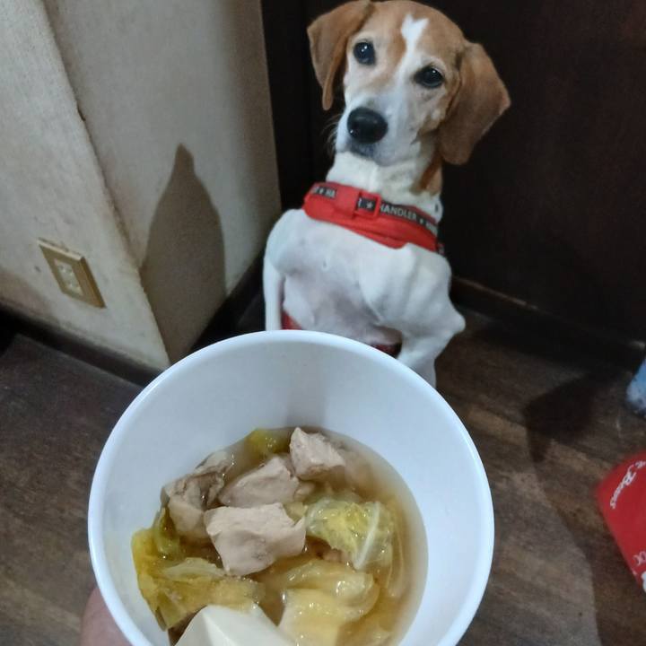 Cefc8c8d 5421 4587 b282 28cc7311de0a 1762565388144