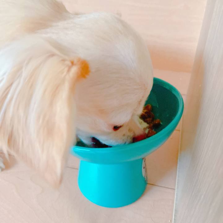 Cefcb0d1 e843 4feb 994d 375eecb14898 1636718815613