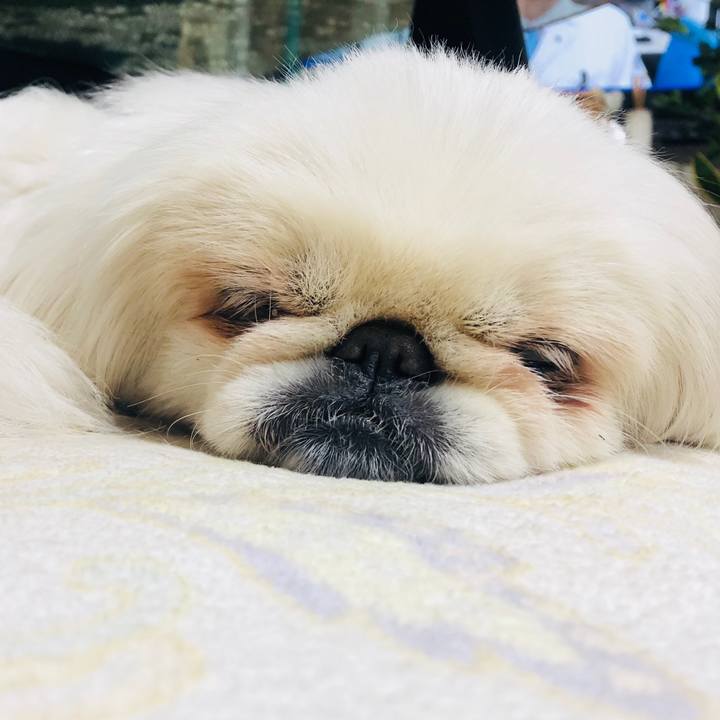 Cefcd02b fa9a 42c1 9cf1 585f0ce435e1 1586344634398