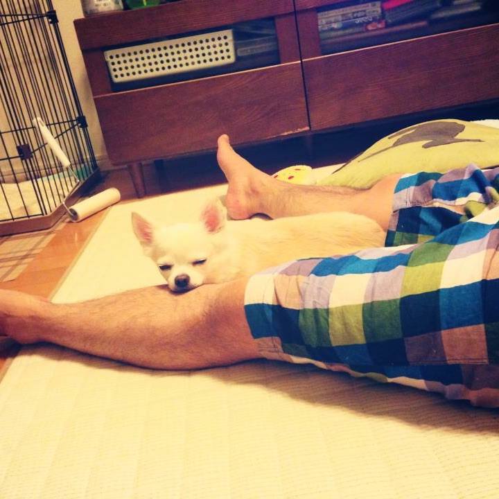 Cefcdba9 471a 40bf a78e 7f36c70b6d58 1537658821339