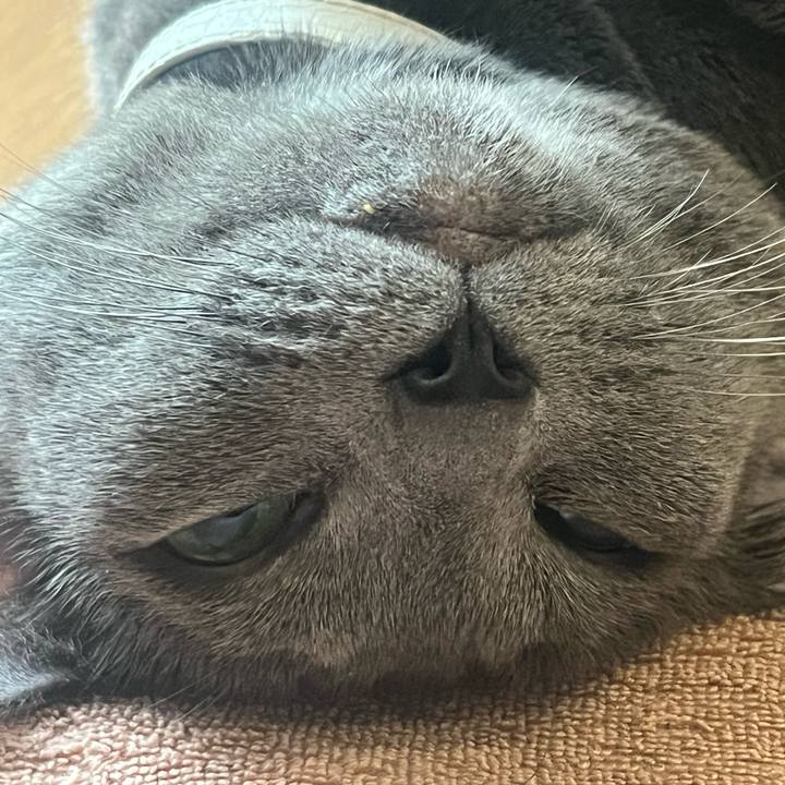 Cefceb52 befe 4d4c 8cdb ef8b334b8243 1719018976680