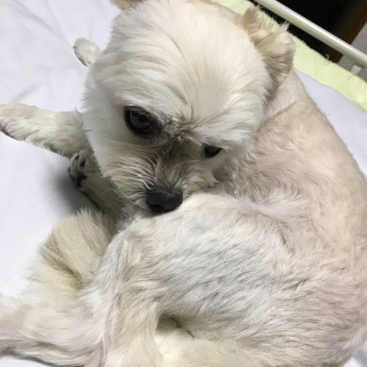 Cefd47b5 72d1 4225 8c6c 8ef71f53bc42 1560343055910