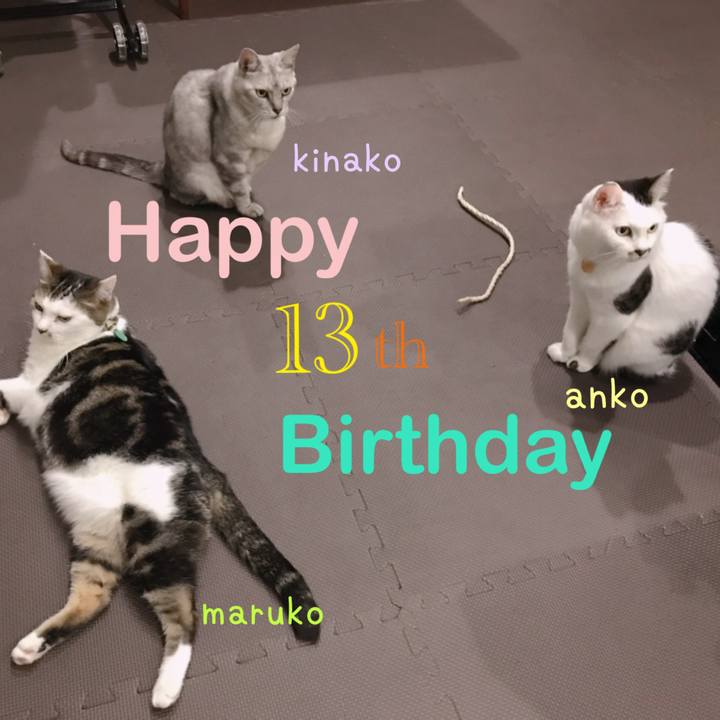 Cefdc876 0ec2 4aa7 a5b0 fbc4c81ca2d0 1630470999452