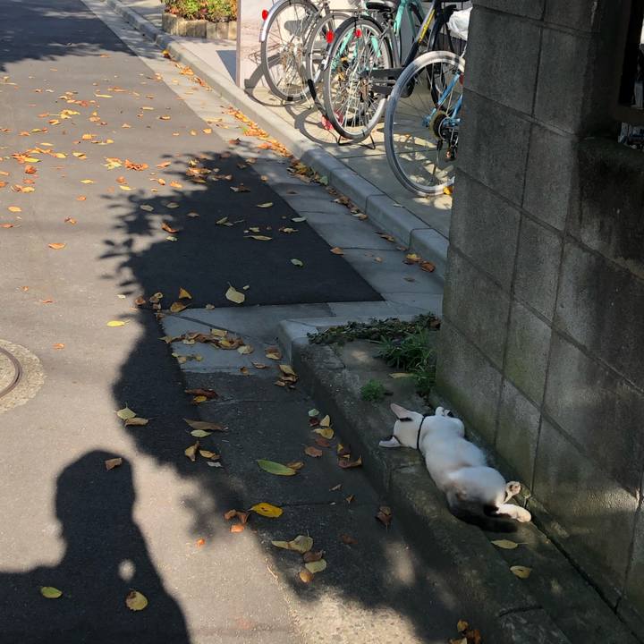 Cefdd7b9 2b24 4014 80f9 bfba72dffe10 1599978054449