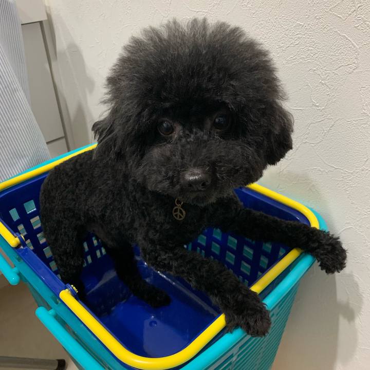 Cefde088 162d 41db 8905 f12426a60e81 1561248977062