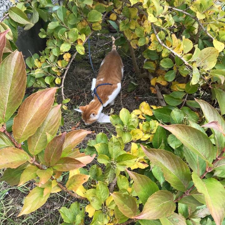 Cefdf64e 8818 4d0c 80aa f640e911b18f 1510551886173