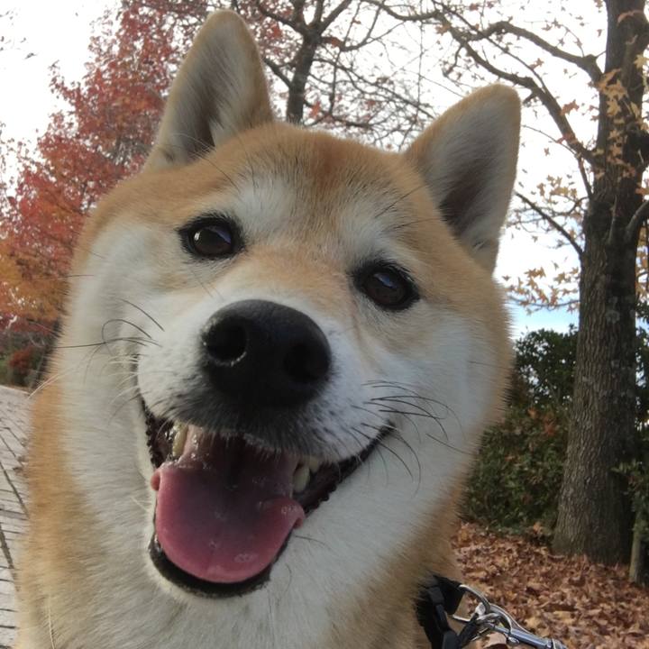 Cefe55fd 8c01 4701 89a8 12c98f89e287 1573993728573