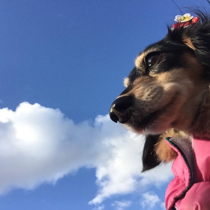 Cefe73a0 8205 4c0a ade4 57c5b99a4e53 1516752273138