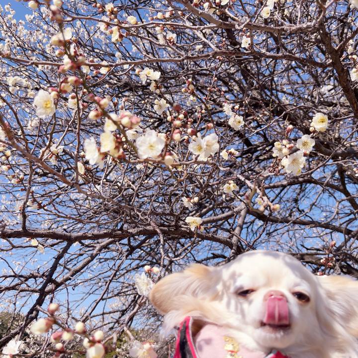 Cefe9ddd c366 4f46 bed4 4e22a4623b4d 1740368558157