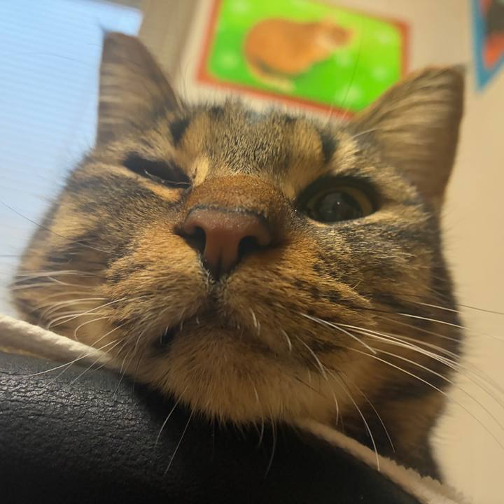 Cefec0f3 1fbe 48a7 b274 08e43795a06f 1766181996982