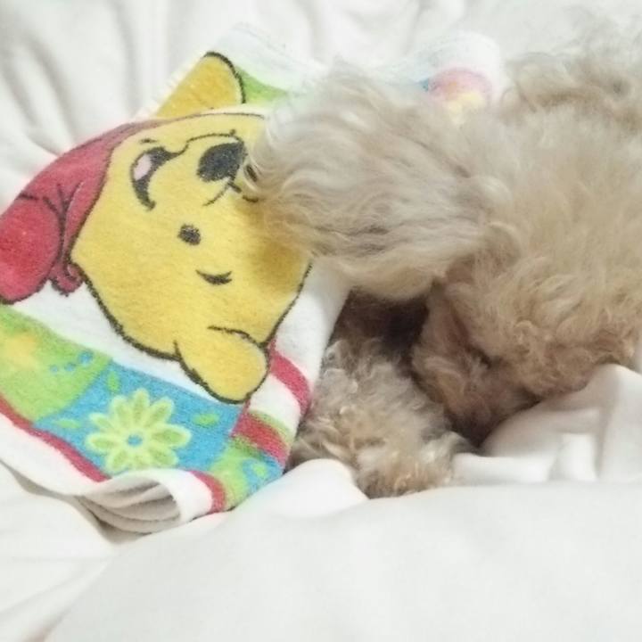 Cefeda53 8efe 401c a28f f533f084c403 1529241835711