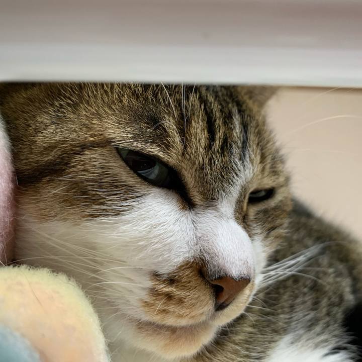 Ceff10d7 b0fc 4cbf b243 76efe0793378 1603814930278