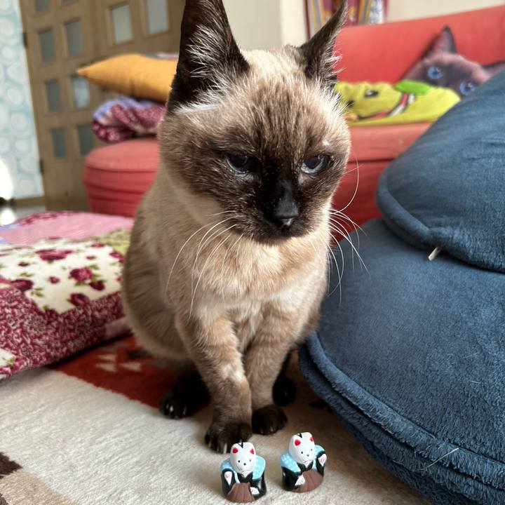 Ceff1cc9 1328 47ea abce 5b50c401c68f 1675923048631