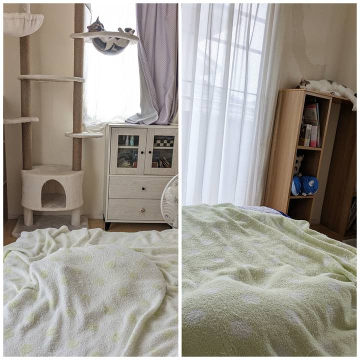 Ceff339a 4686 4ecd 9683 bfc85693e2e5 1690258615767