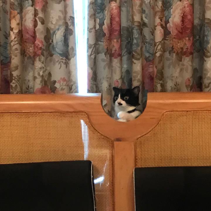 Ceffa73f 2389 49a0 bbdf 1ff80cf7ba22 1531880400128