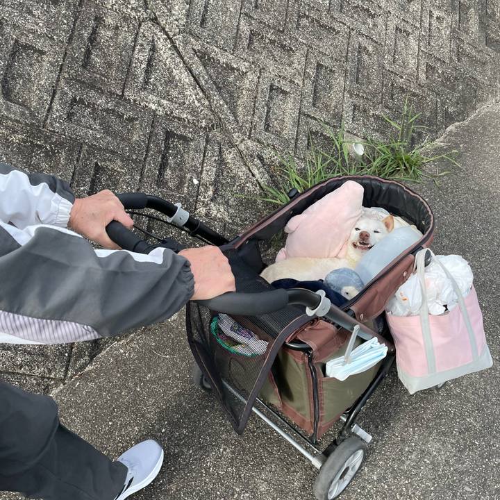 Ceffaf89 dd3f 41c0 80d2 eade6ad607e2 1682985243226