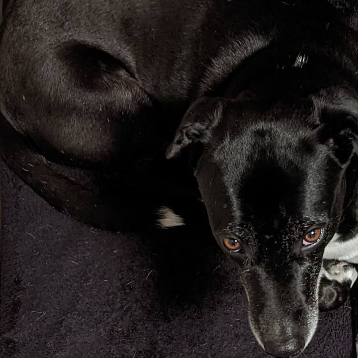 Ceffc08c 9996 44b1 bc33 b9b6a33fa313 1703898680288