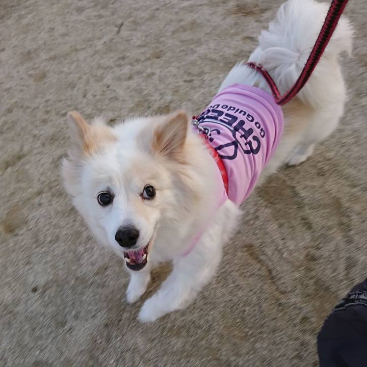 Cefff224 05c2 4cb0 84b5 0fb8d85dea1d 1522639878373