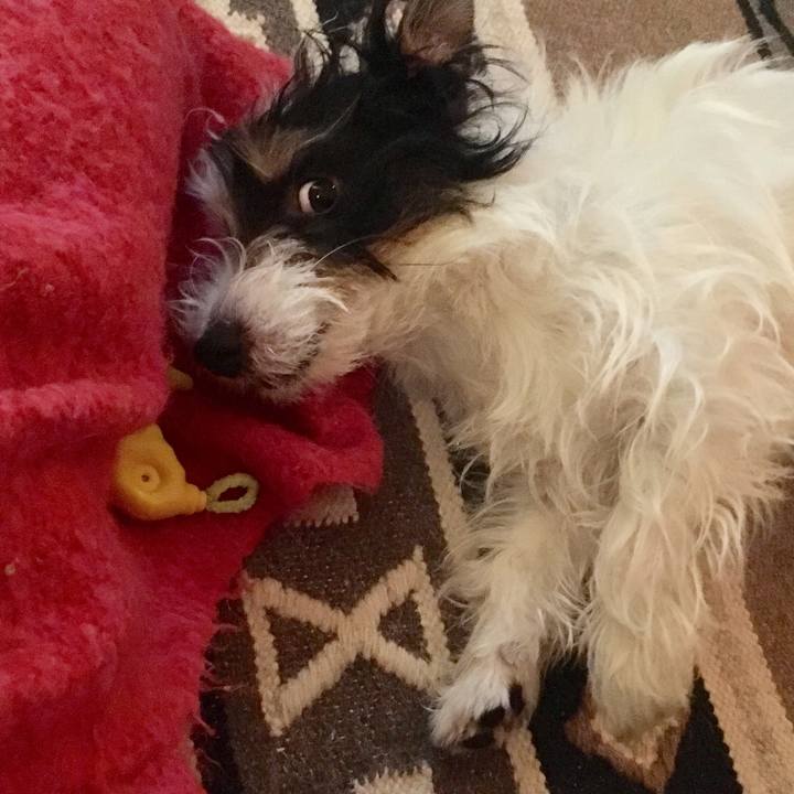 Cefffa53 2746 4be7 8d6c 40185beebe23 1520550296731