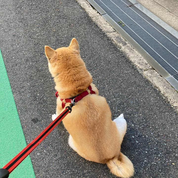 Cf00698e a4ba 4926 9d3a e3ef2f367d7c 1633953201400